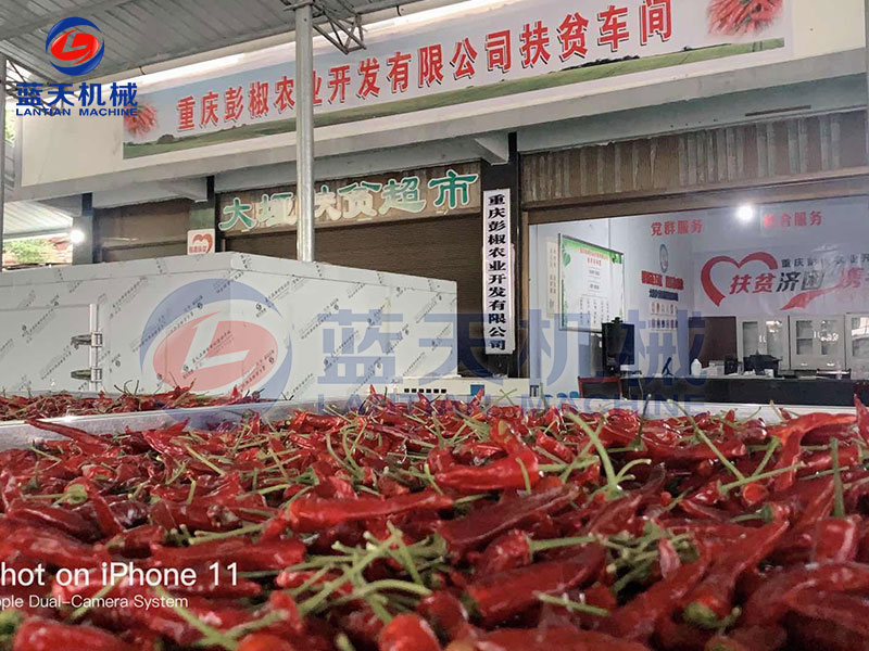 重慶彭椒辣椒烘干機扶貧項目